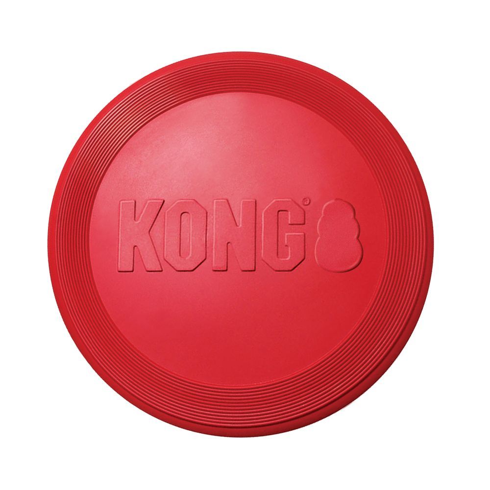 KONG Frisbee Small