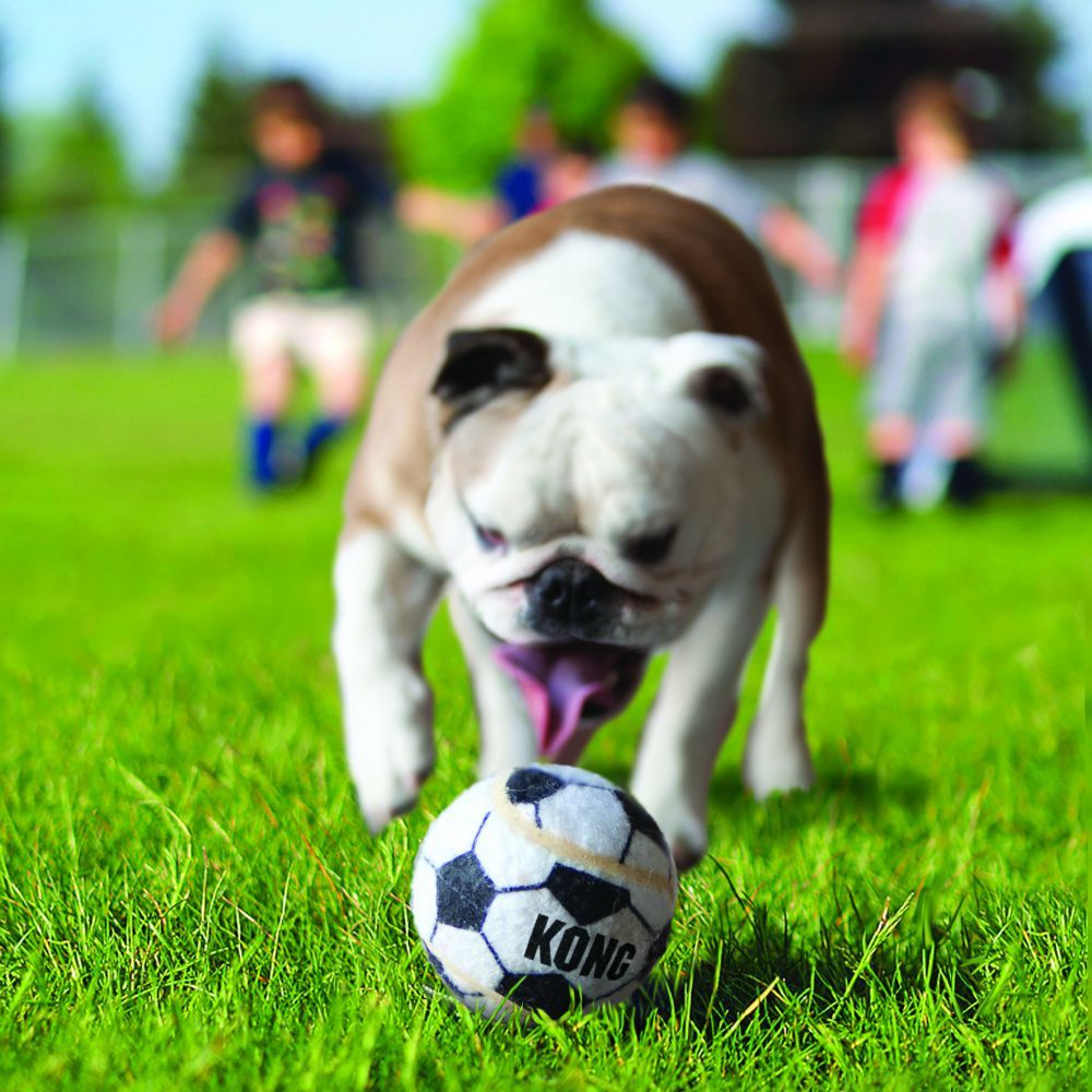 KONG Sport Balls 