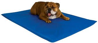 Topmast Koelmat voor honden Blauw 90 x 50 cm