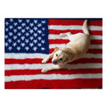 Vet Bed Amerikaanse Vlag - Antislip Hondenmat