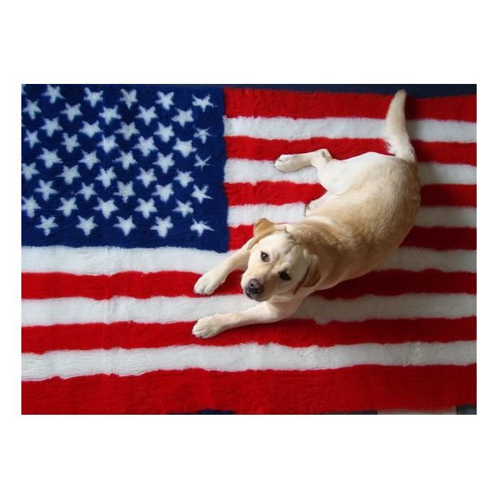 Vet Bed Amerikaanse Vlag - Antislip Hondenmat