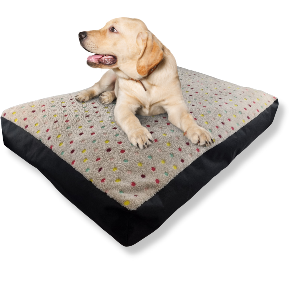 Topmast Kussen - Hondenmatras  - Colorful Dots - Zachte vulling - 80 x 50 x 10 cm