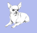 Vet Bed - Blauw - Chihuahua - anti-slip