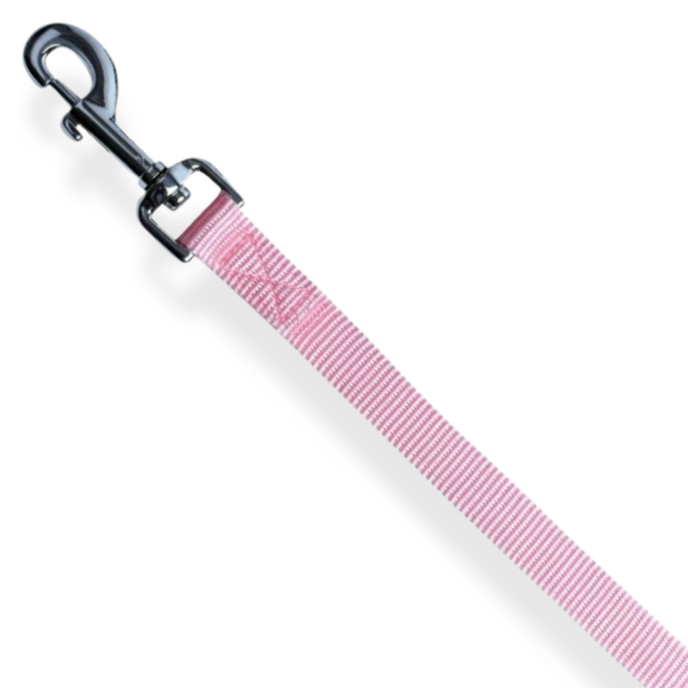Topmast Hondenriem - Duurzaam Nylon - Sterke Musketonhaken - Roze