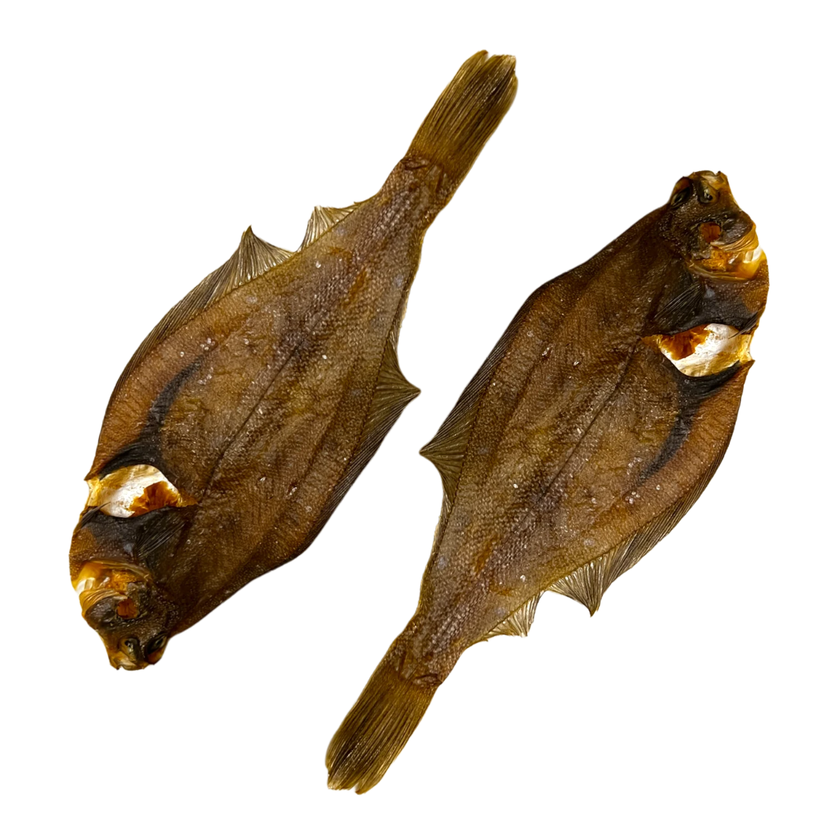 Seafish Hondensnack - Gedroogde Schol - 1000gram