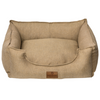 Warm camel