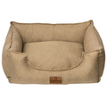 Warm camel